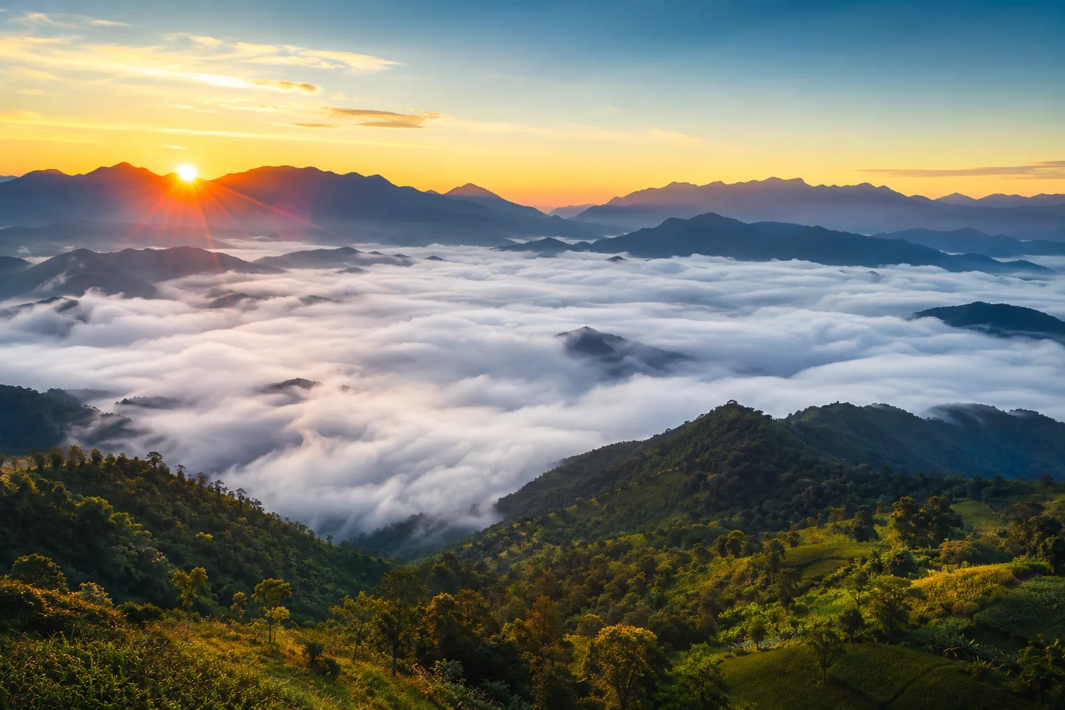 Khung cảnh Tây Bắc bừng sớm đầy sương mờ dại từ hồ bơi chân mây Lâm Sơn
