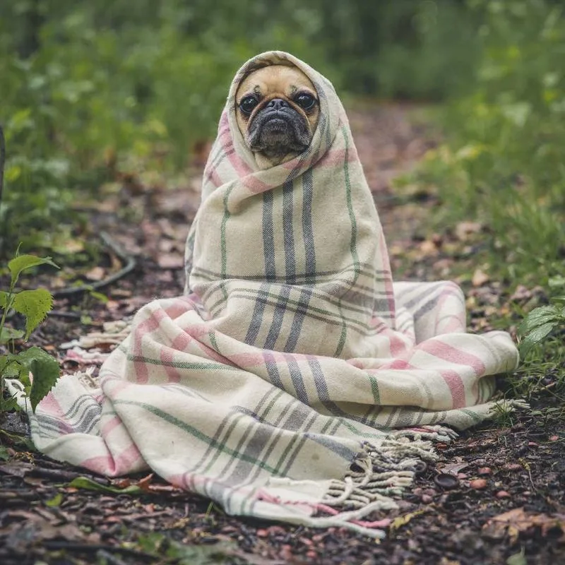 Áo Khoác Hè Nhẹ Linen Không Cấu Trúc 2